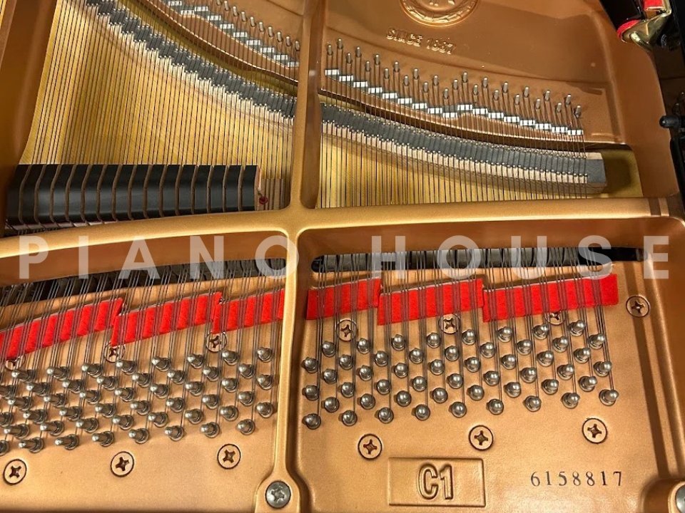 YAMAHA C1 PE (USED) - Góc nhìn thực tế 6